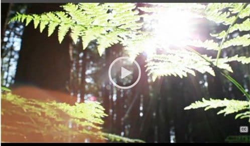 Interview de la docteur Belcher à l’occasion du prix Lemelson-MIT qui lui a été décerné (en anglais).