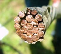 Tom (CC-BY). Flickr.